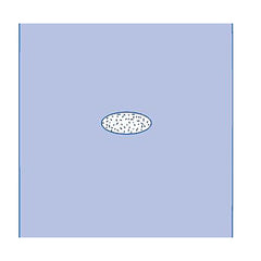 Adherent Window Sheets