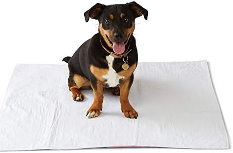 Medline - MDTR1227073AZ Softnit 300 Washable Underpads, Pack of 4 Large Bed Pads, 34" x 36",