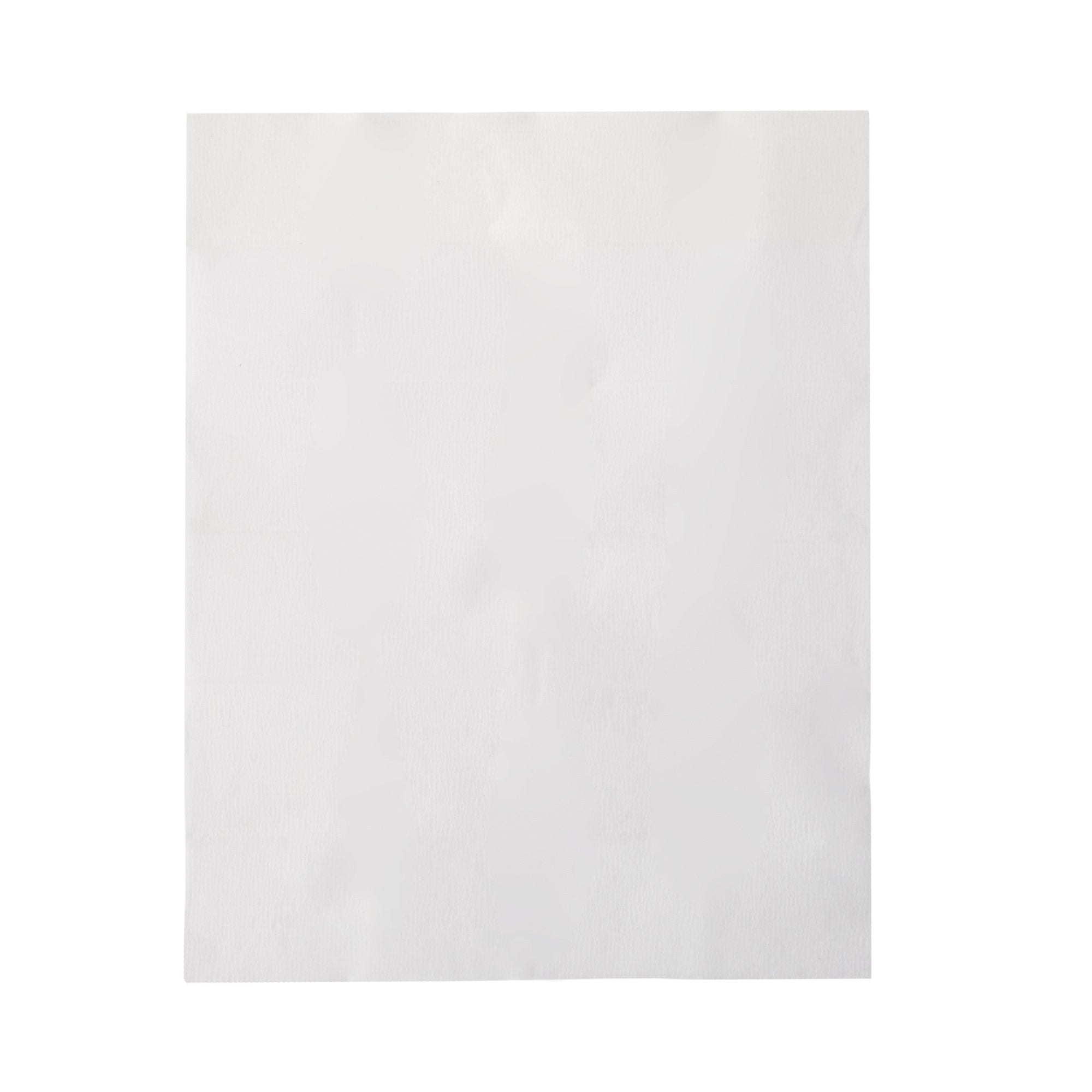 McKesson Sanitizing Skin Wipe