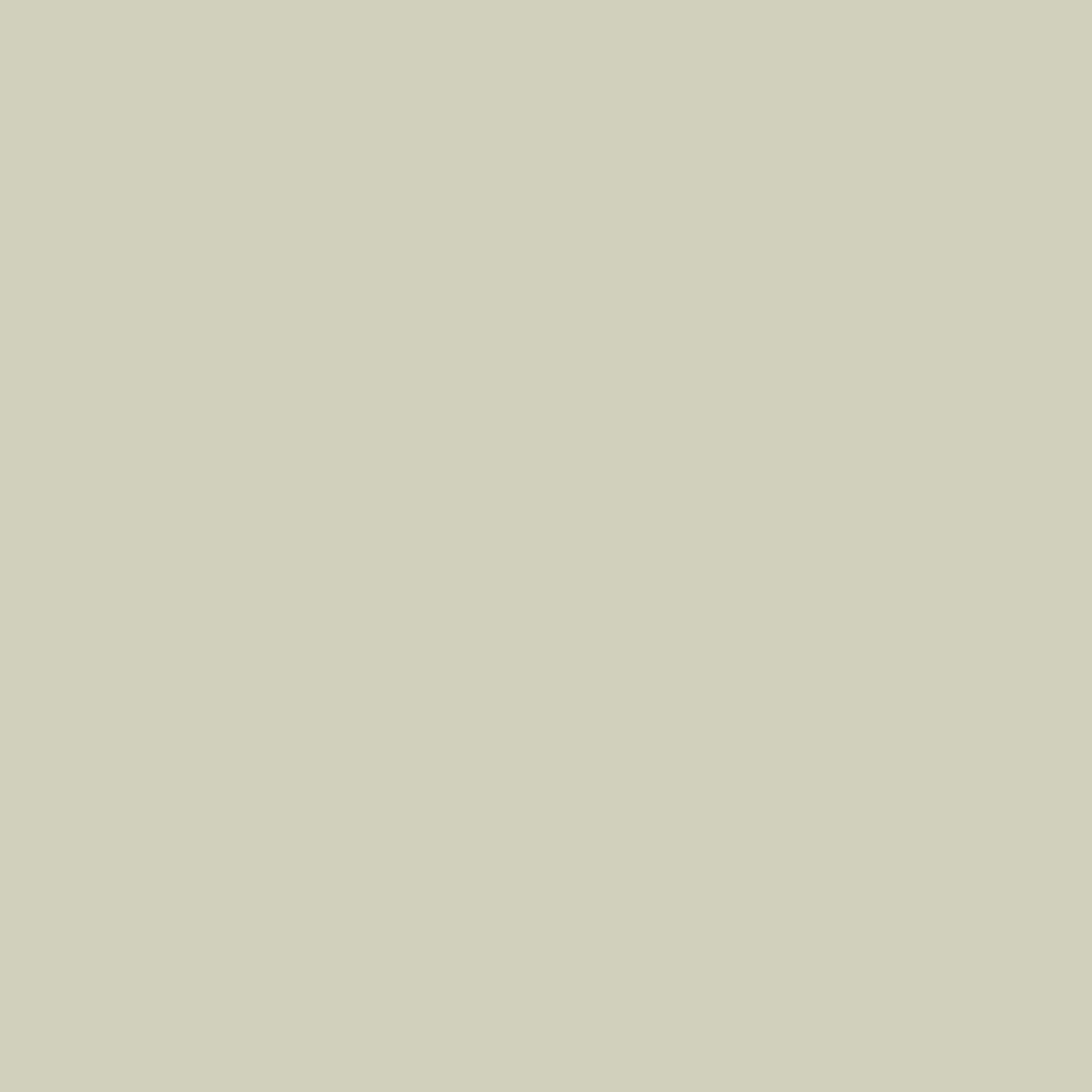 3M Scotchcast Plus Cast Tape, White, 1 Inch x 2 Yard