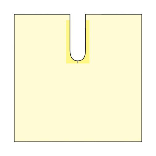 DRAPE,U,POLY,48X52,INVISISHIELD,NS